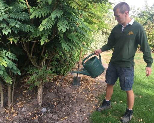 Watering with ridge around plant